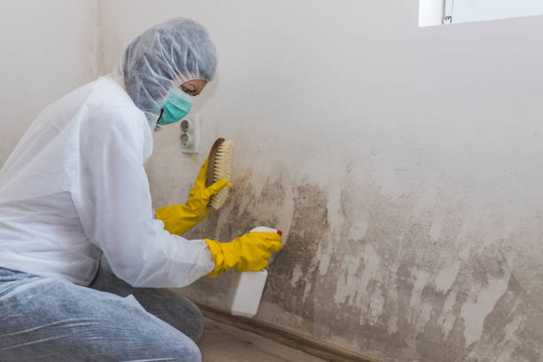 Best Asbestos and Lead Testing During Mold Inspection  in West Haverstraw, NY