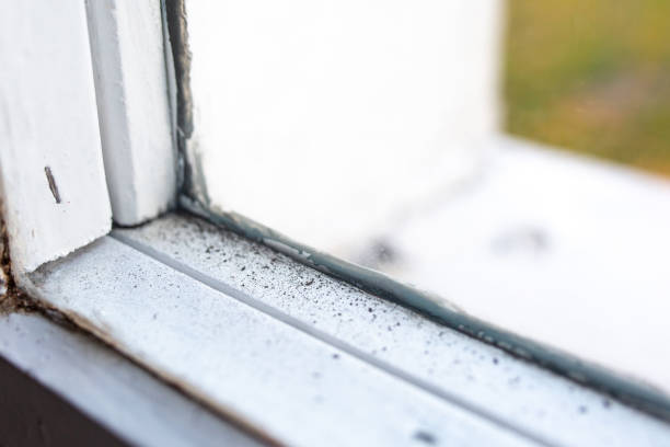 Best Post-Remediation Verification Testing  in West Haverstraw, NY